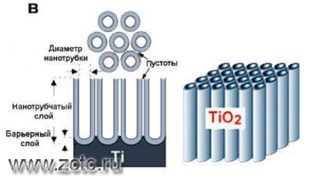 Идеальная схема анодно-оксидного покрытия на титане.